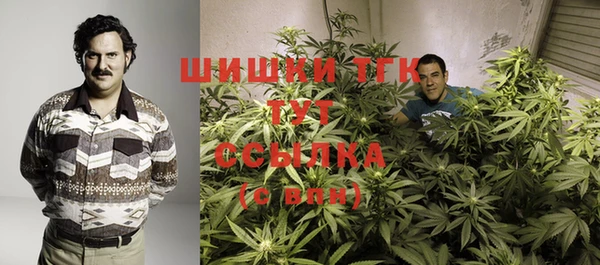трава Бородино