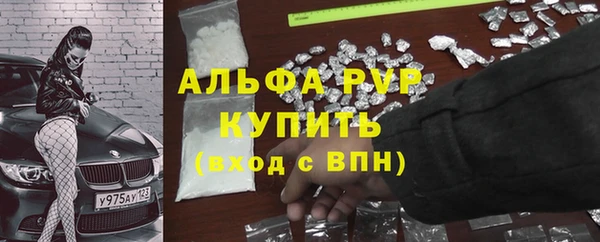 трава Бородино